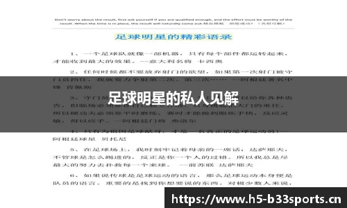 b33体育